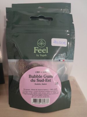 Bubble Gum du Sud-Est 3g – bio