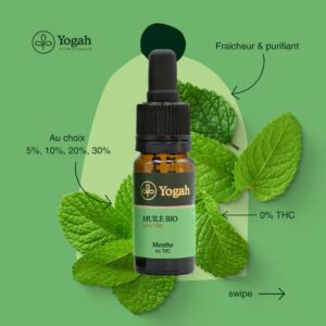 Huile CBD 10% bio Menthe – Image 2