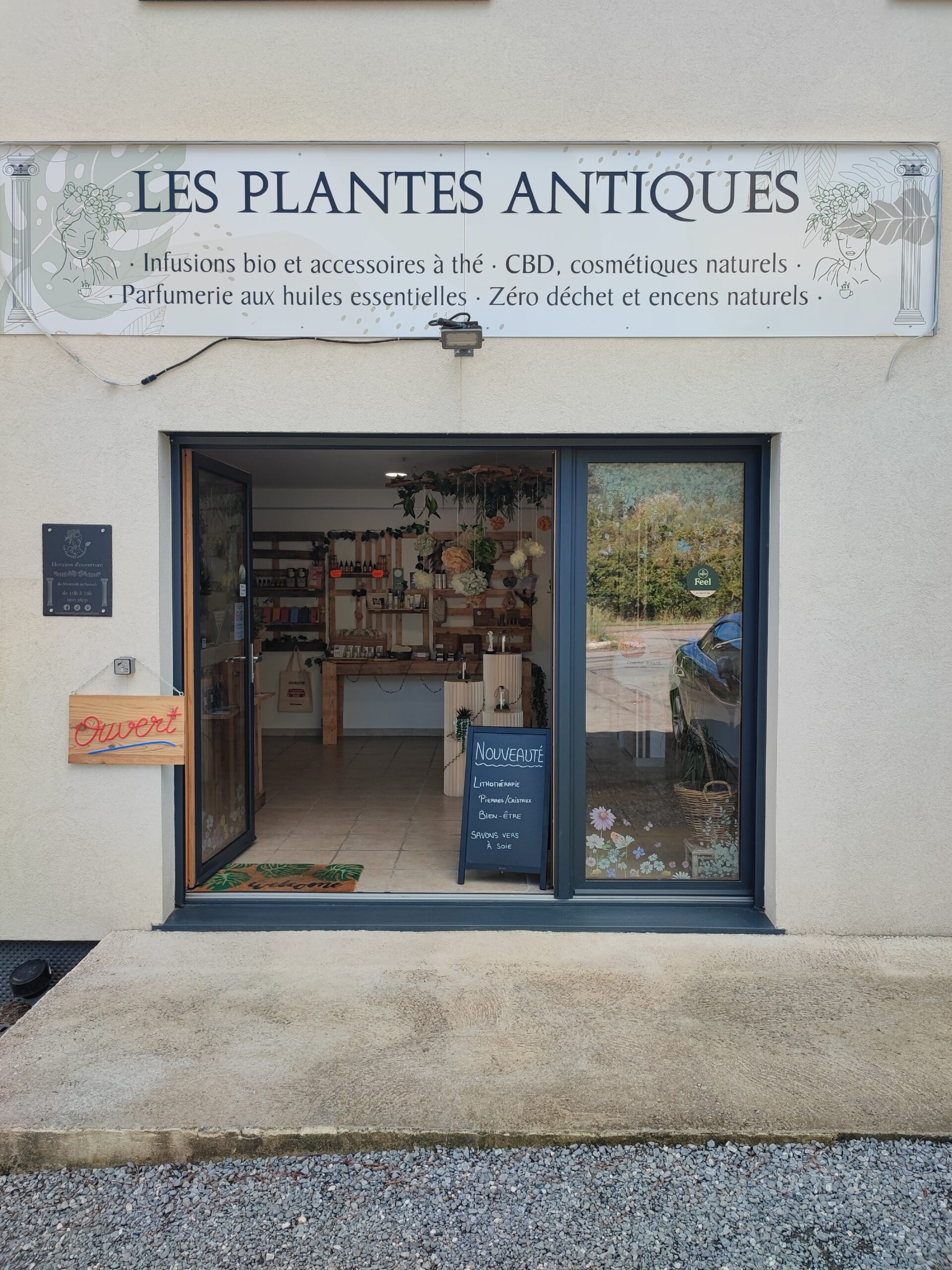 Les plantes antiques