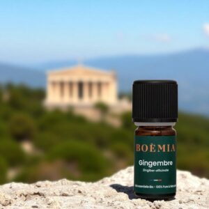 HE gingembre 5 ml