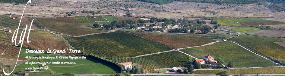 DOMAINE LA GRAND TERRE